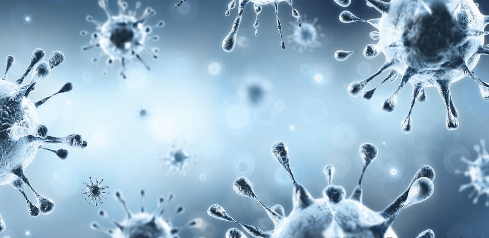 Business During Covid-19